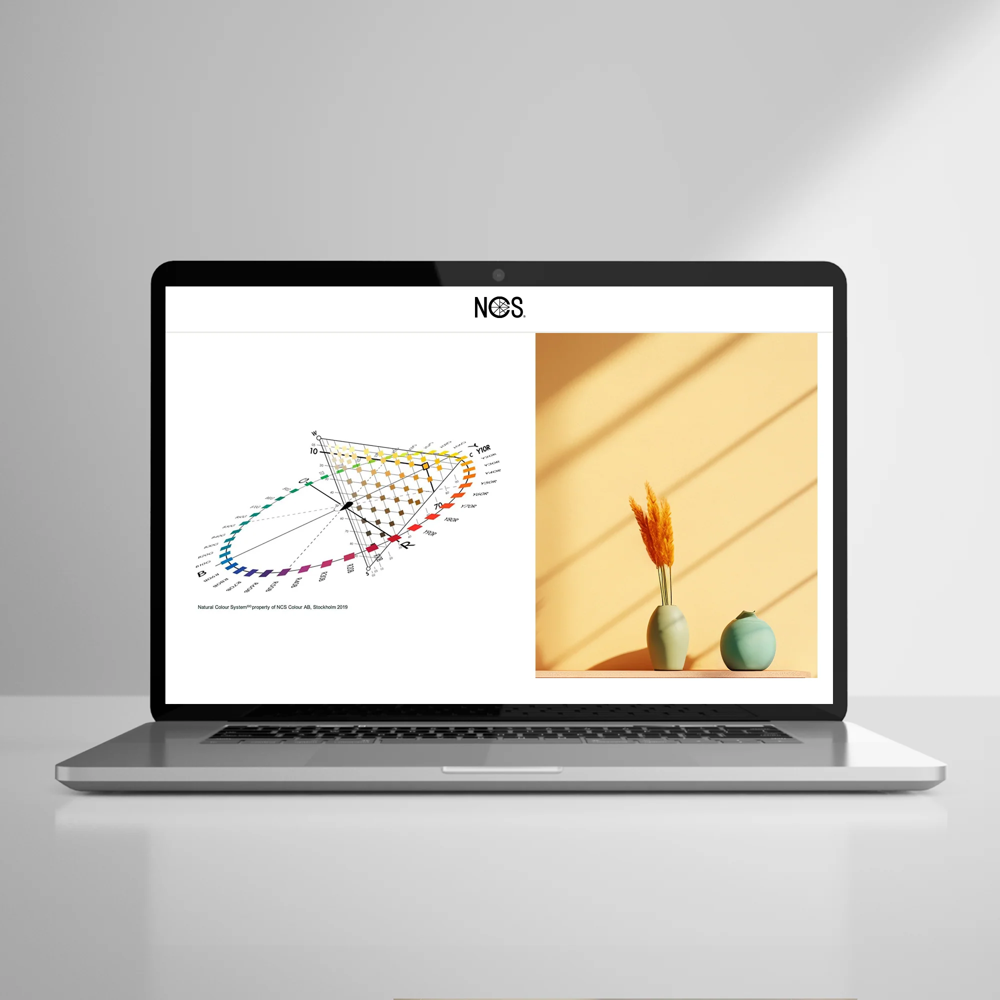 NCS Store Package Small