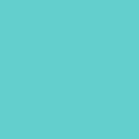 S 1040-B50G