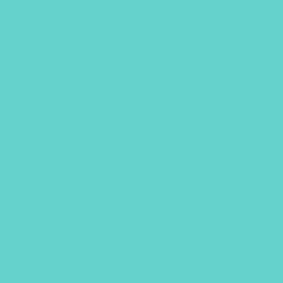 S 1040-B60G