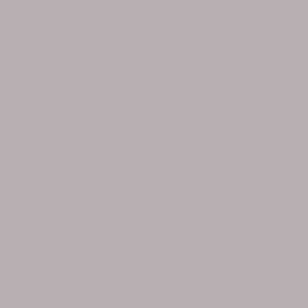S 3005-R20B