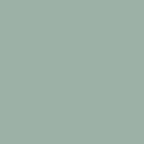S 3010-G