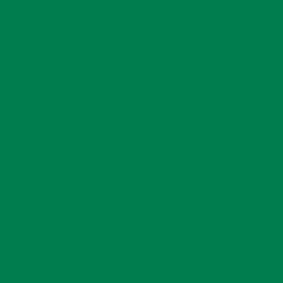 S 3060-G